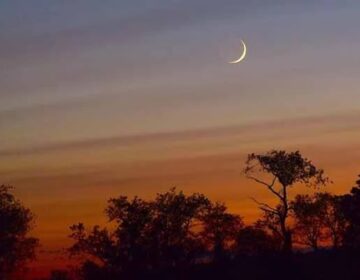 میں شوال کا چاند نظر نہیں آیا عید الفطر بروز ہفتہ ہوگی